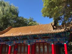 -鼓楼(兴庆区)
