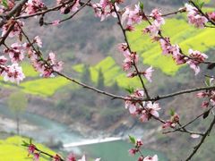 -石潭村