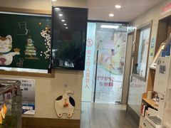 -爱侣·安琦尔宠物医院·中兽医针灸·心内科·狂犬免疫点(宝山区院)