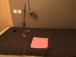 -三只熊皮肤管理中心