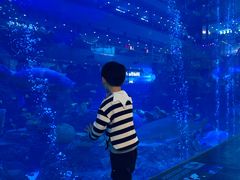 -成都浩海立方海洋公园