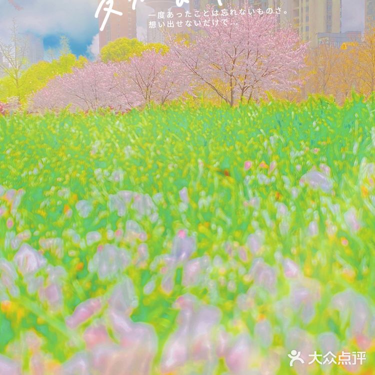 攻略 | 静安区0元不排队赏樱🌸保姆级指南建议收藏