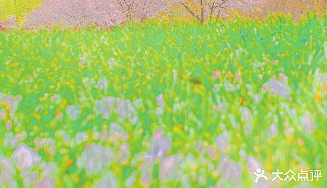 攻略 | 静安区0元不排队赏樱🌸保姆级指南建议收藏