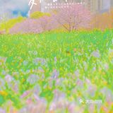 攻略 | 静安区0元不排队赏樱🌸保姆级指南建议收藏