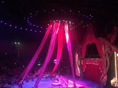 -珠海横琴长隆《卡卡虎奇遇记》