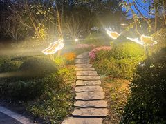 -大连金石滩绿发温泉假日酒店