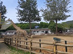 -大连森林动物园