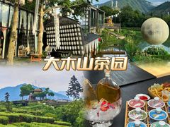 -杨家堂村