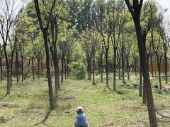 -东郊湿地公园