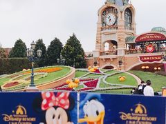 -上海迪士尼度假区