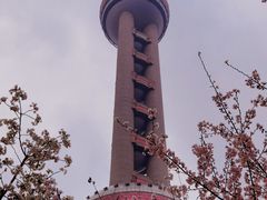 -东方明珠广播电视塔