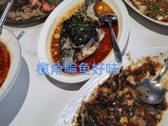 -蚝歌(中山七路店)