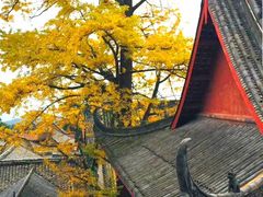 -金堂县云顶石城风景区