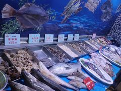 -今鲜源酒店·海鲜锅贴青岛菜(新湛路店)