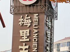 -蔡阿水羊肉店
