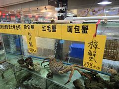 -寻味顺德·南记酒家·传统顺德菜·鱼生(广源路店)