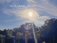 -上海共青森林公园