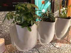 -sugarman espresso素饮糖人高新咖啡工厂