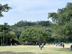 -深圳仙湖植物园