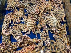 -三亚火车头万人海鲜广场