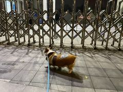 -佳雯宠物医院(金华南路分院)