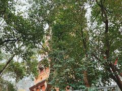 -宝通禅寺