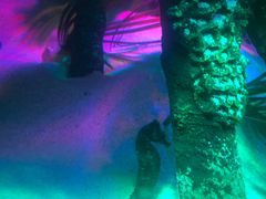 -沈阳海洋探索中心