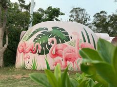 -漳州滨海火山岛自然生态风景区