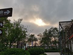 -大亚湾红树林城市湿地公园