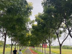 -上海长兴岛郊野公园