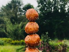 -桤木河湿地公园