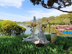 -上海鲜花港