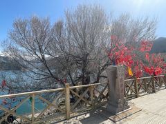 -天山天池风景区-西王母祖庙