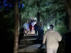 -黄山排云型旅酒店餐厅