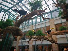 -大族广场Mall&More