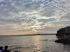 -宝安西湾红树林湿地公园