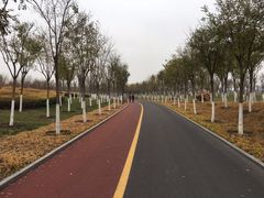 -天津东丽湖风景区