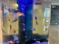 -七欣天香辣蟹火锅(苏州相城VIP总店)