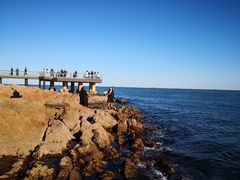 -北戴河碧螺塔海上酒吧公园