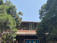 -洛阳白马寺
