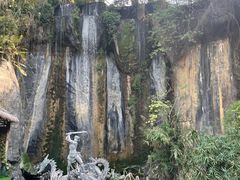 -西双版纳原始森林公园