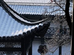 -何园