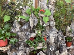 -津沽小院(天津之眼店)