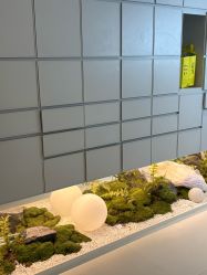 -苑苑vbeauty科技美容SPA