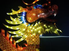 -杨柳青古镇
