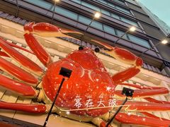 -蟹道乐(道顿堀本店)