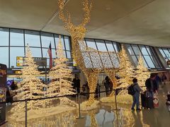 -华盛顿杜勒斯国际机场