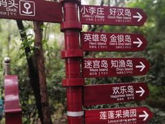 -微山湖红荷湿地景区