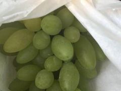 -美家乐农庄·露营·团建(大治路店)