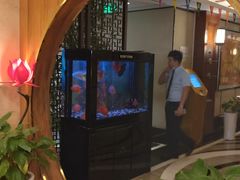 -汤泉良子.足疗按摩.SPA(中关村店)